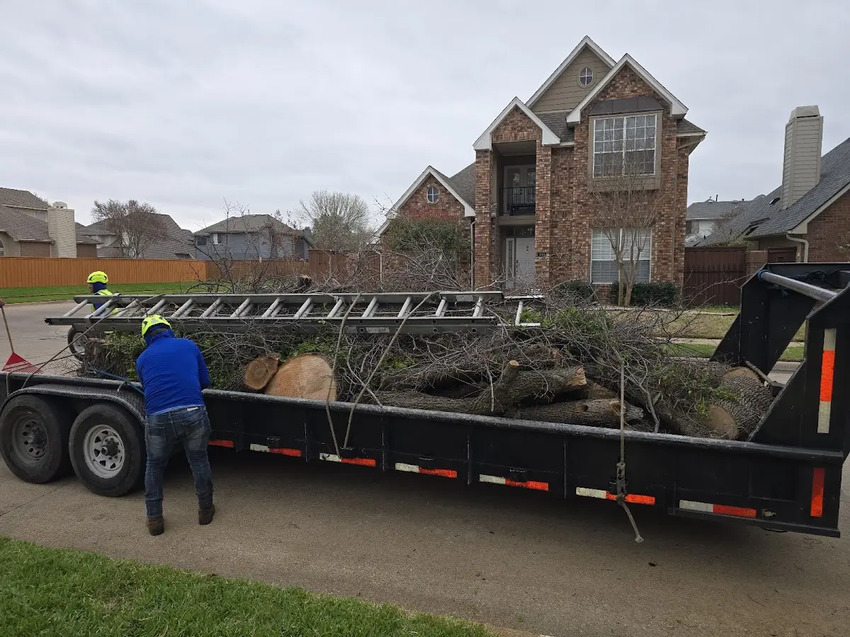 Expert Tree Removal with proper safety equipment in North Pembroke
